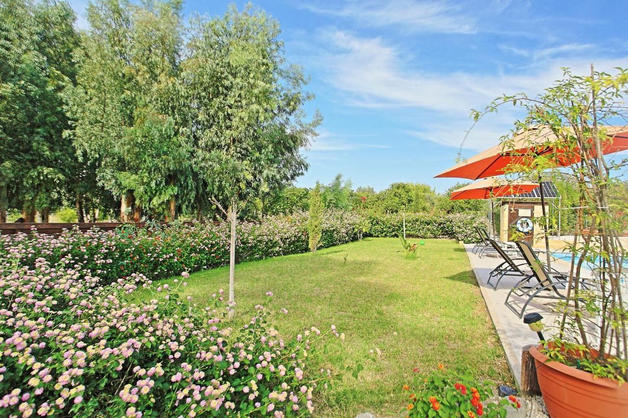 Villa Georgios Rafaela Polis Exterior foto